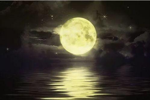 娱乐吃瓜酱月亮是我杀的